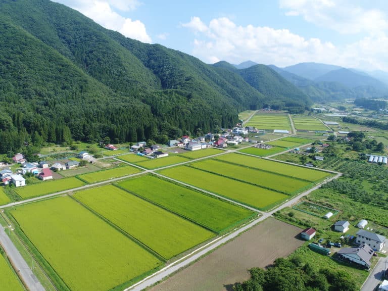 田園風景
