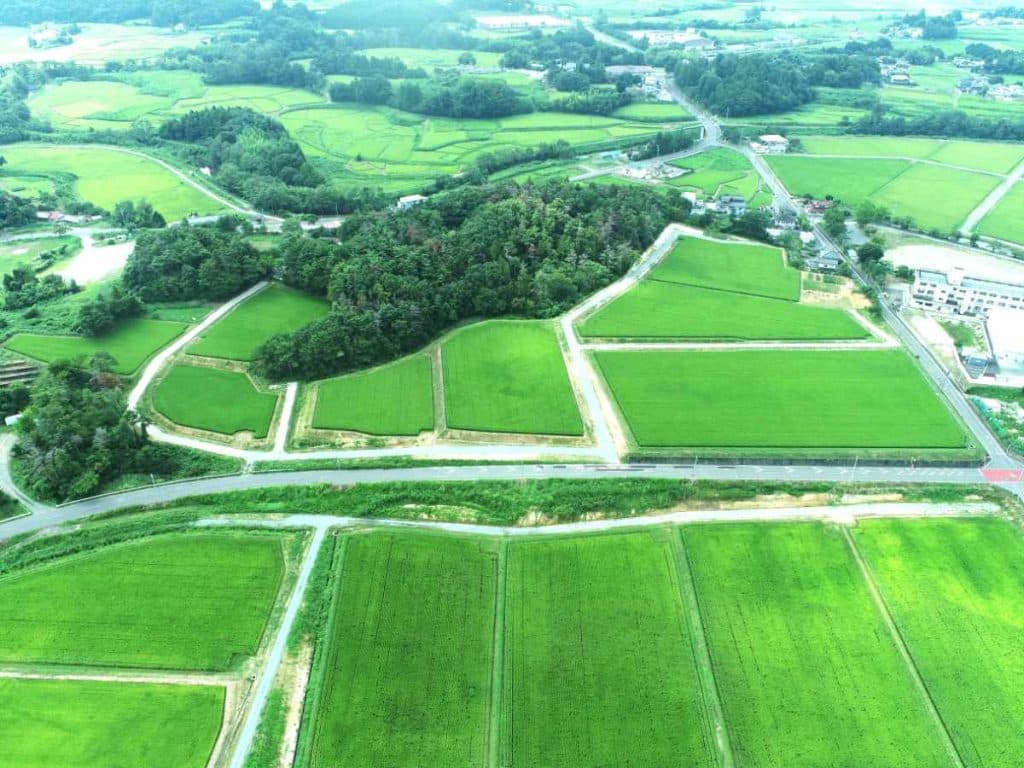 田園風景