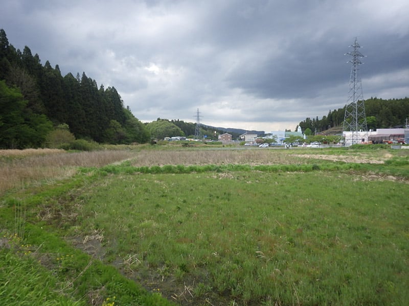 田